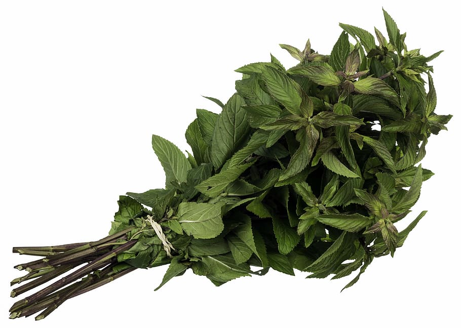 green, leafed, plant bundle, mint, spice, herb, leaves, food, herbal, organic
