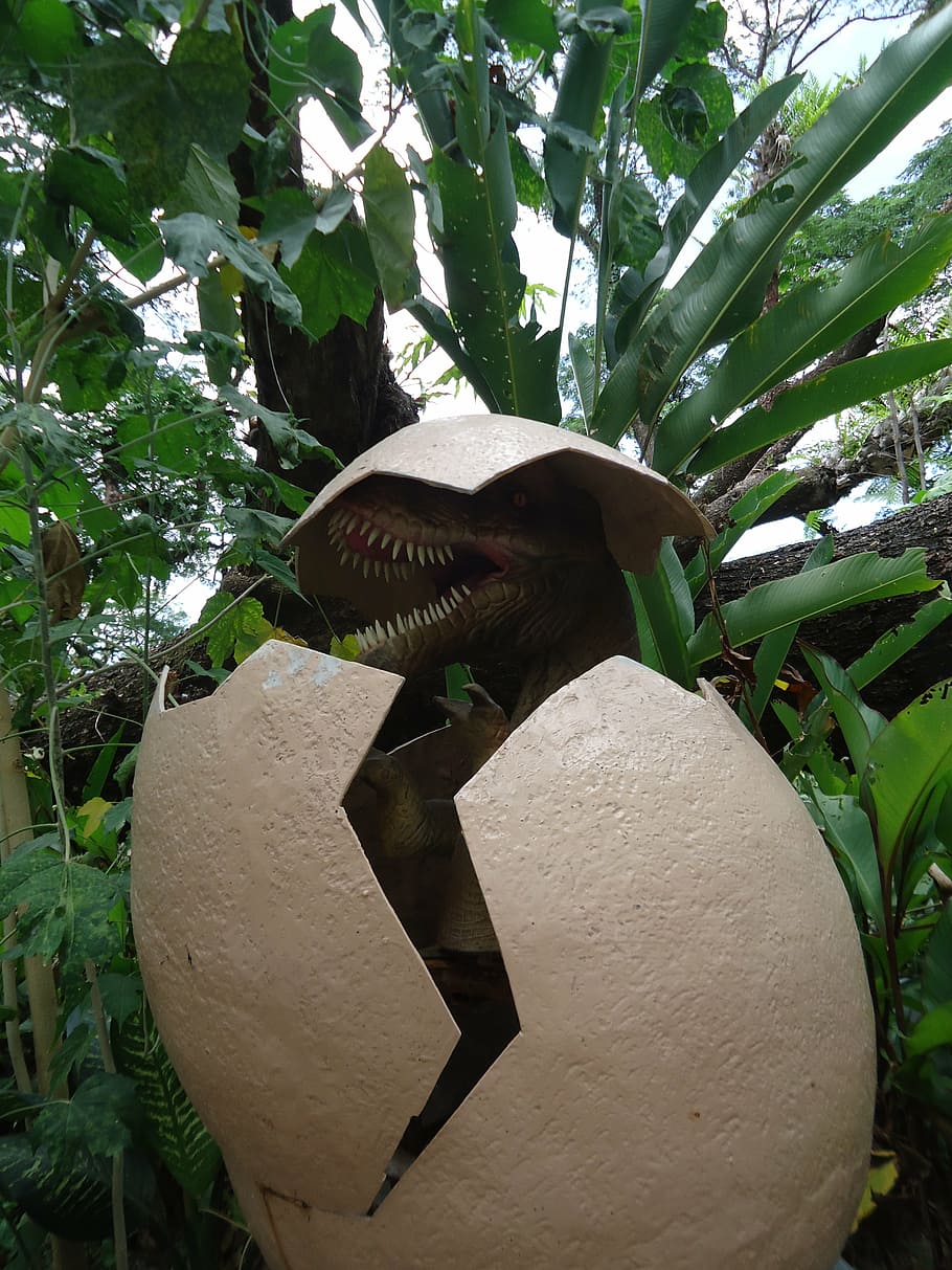 dinossauro, ovo, incubação, réptil, pré-histórico, lagarto, hachura, jurássico, nascido, plantar