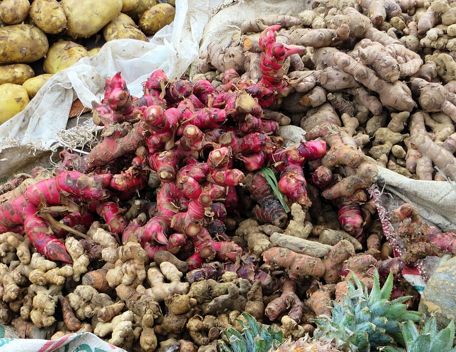 viet nam, spices, red ginger, market, the roots, food and drink, food, retail, large group of objects, abundance
