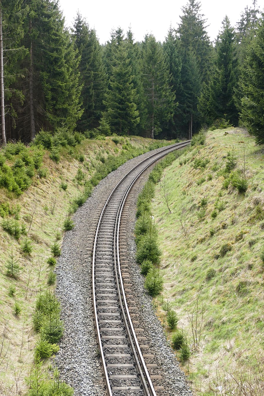 철도 시스템, 레일, 2 트랙, 좁은 게이지, harzquerbahn, 곡선, 자연, 숲, 식물, 철도 운송