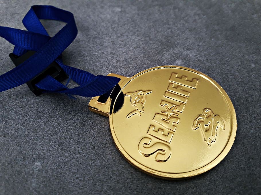 gold, currency, business, a wealth of, medal, high angle view, close-up, metal, still life, transportation