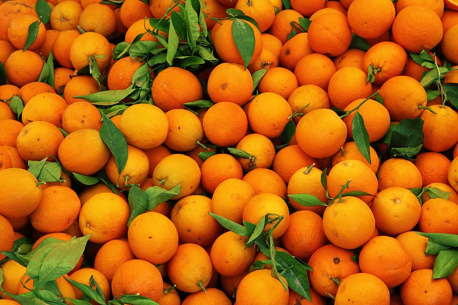 orange fruits, orange, fruits, backdrop, background, citrus, color, food, fresh, fruit
