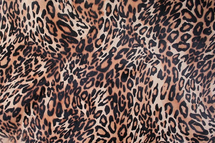 черный, коричневый, поверхность для печати животных, леопард, кожа, тиба, текстура кожи, текстура, животное, шкуры животных