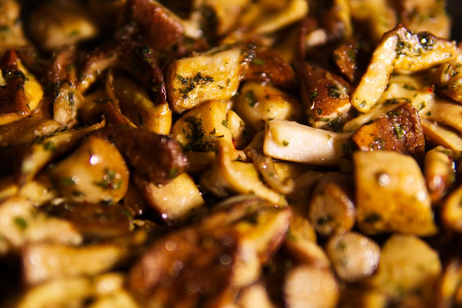 kitchen, cooking mushrooms, cooking porcini mushrooms, cooked dish, pan-fried porcini, boletus, ceps, mushrooms, edible, fungus