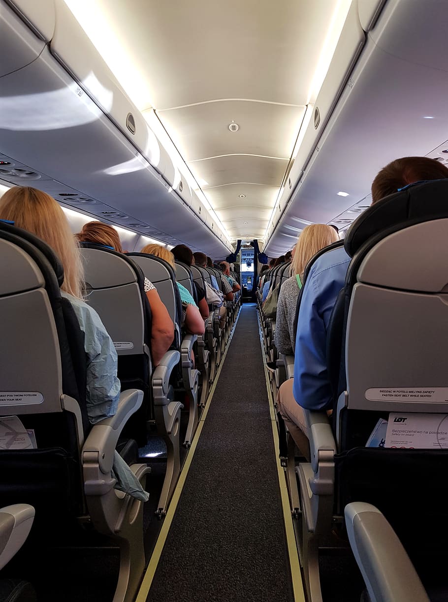 passageiros, cabine, aeronaves, companhia aérea, viagem, tráfego, interior, aviação, transporte, assento