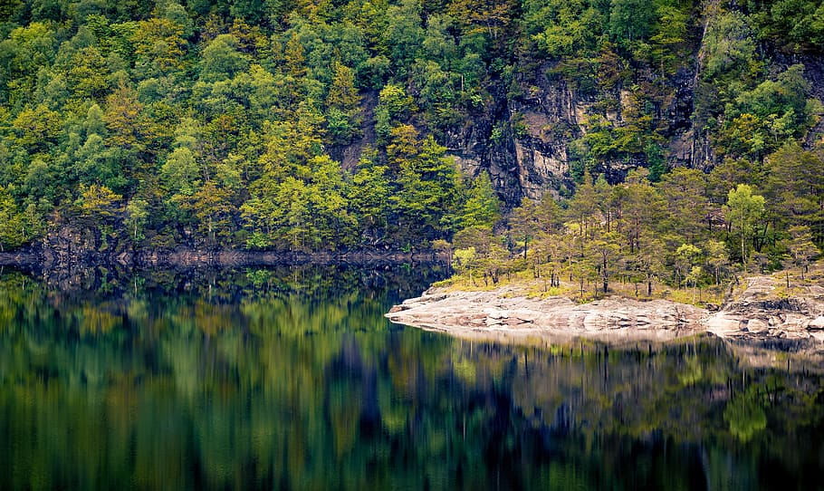 호수, 녹색, 잎이 많은, 나무, 노르웨이, 숲, 산, 전망, 여름, 자연