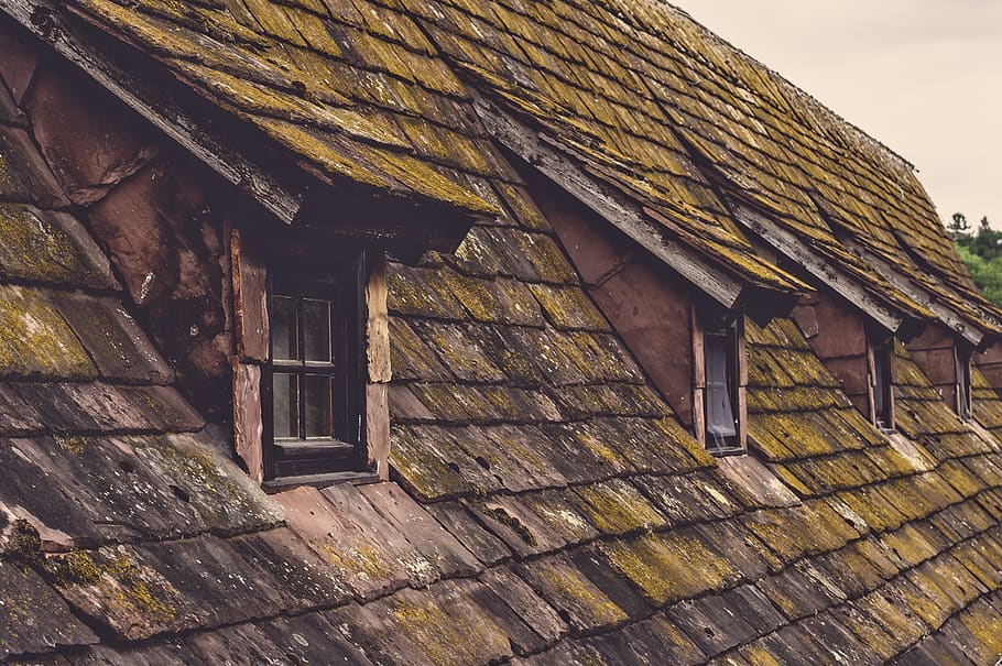 roof, shingle, old, house, window, roof windows, tile, building, moss, overgrown