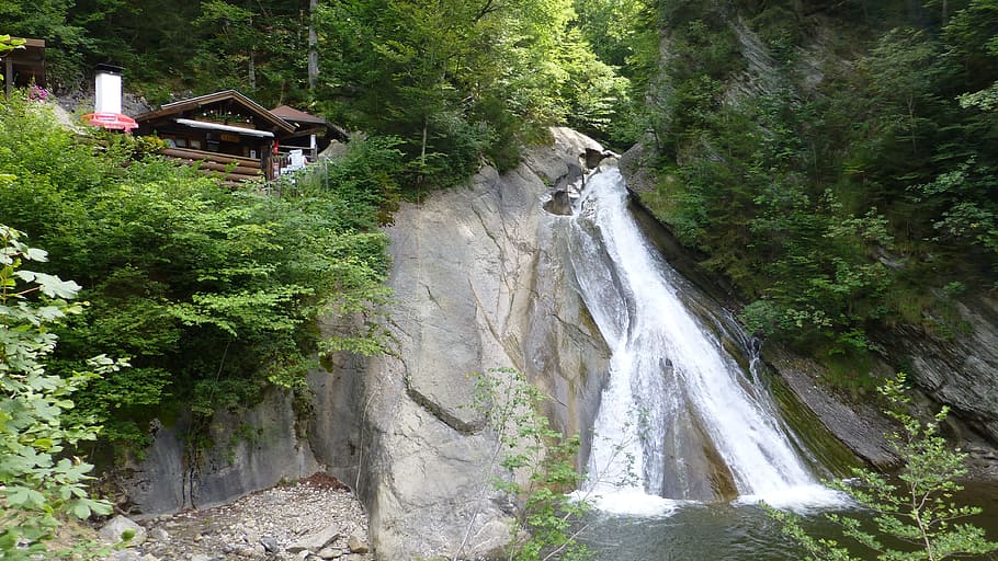 waterfalls ahead, allgäu, castle hill, starzlachklamm, water slide, hut, plant, tree, water, beauty in nature
