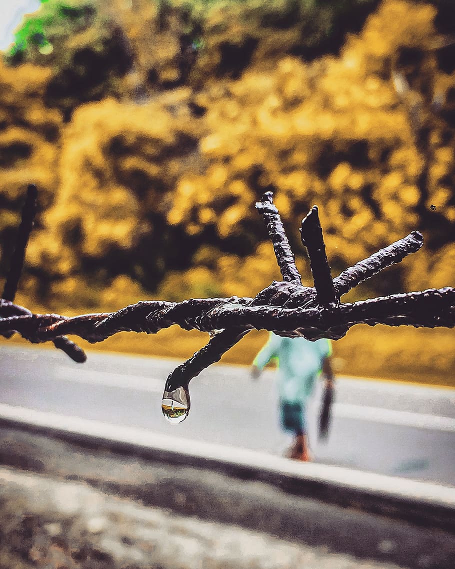 nature, water drop, rainy weather, roads, wire, focus on foreground, close-up, water, drop, day