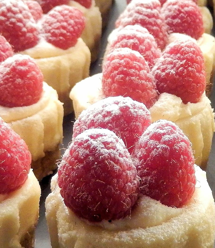 kue keju mini, segar, raspberry, mini, keju, kue, buah, kue keju mini raspberry, buah segar, manis