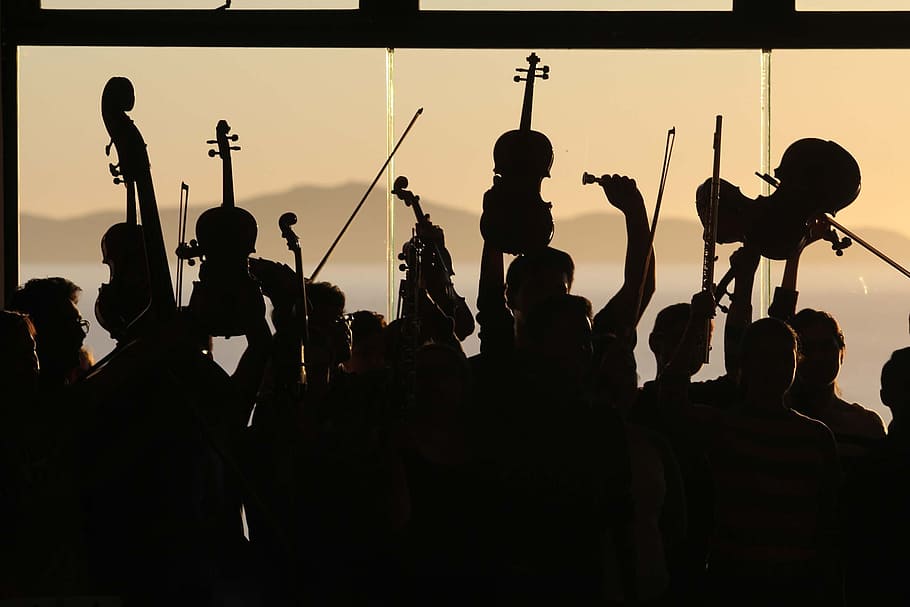 silhouette of musicians, orchestra, opera, guitar, concert, music, classical, performance, musician, symphony