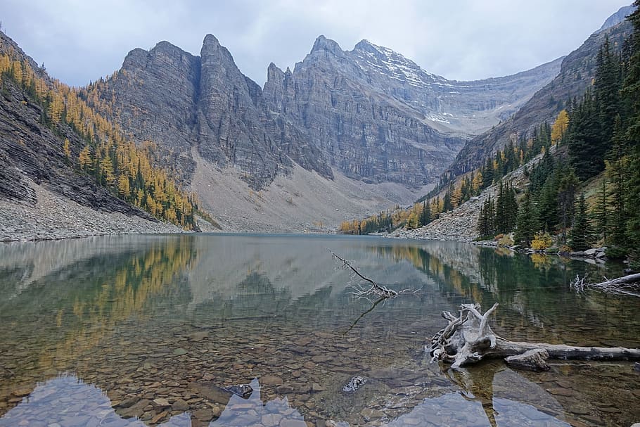 body, water, within, mountain range, daytime, lake agnes, banff, canada, canadian rockies, tranquil