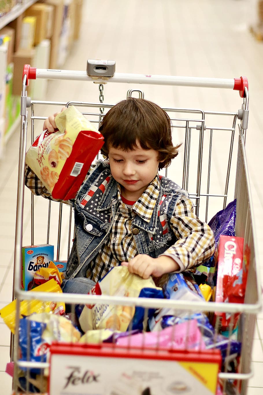 loja, produtos, compra, o garoto na cesta, o garoto no carrinho, doces, produtos para bebê, chocolate, chocolates, doce
