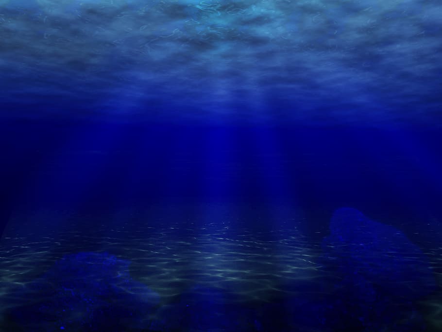 blue, sea, underwater, photography, ocean, water, fish, diving, underwater world, atlantic