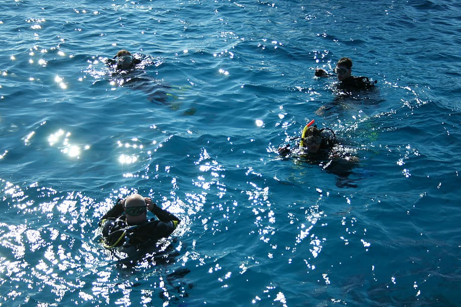 Divers, Ocean, Blue, Blue, Sea, Sea, Water, ocean, blue, sea, water, salt water, sun