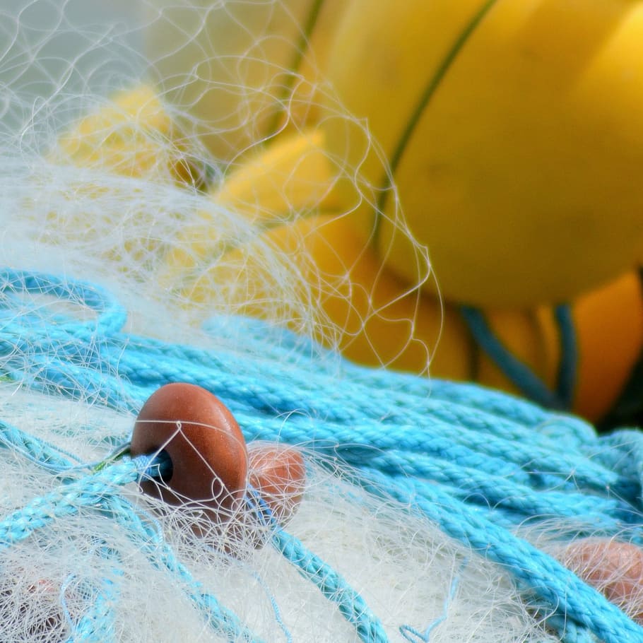 buoy, float, net, fishing nets, france, fishing, fisherman, sea, fishing port, marin