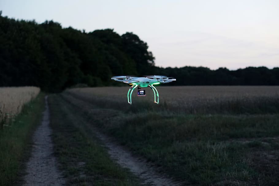cuadricóptero verde, dron, dji, fantasma, cuadricóptero, helicóptero, campo, agricultura, cervatillo, búsqueda