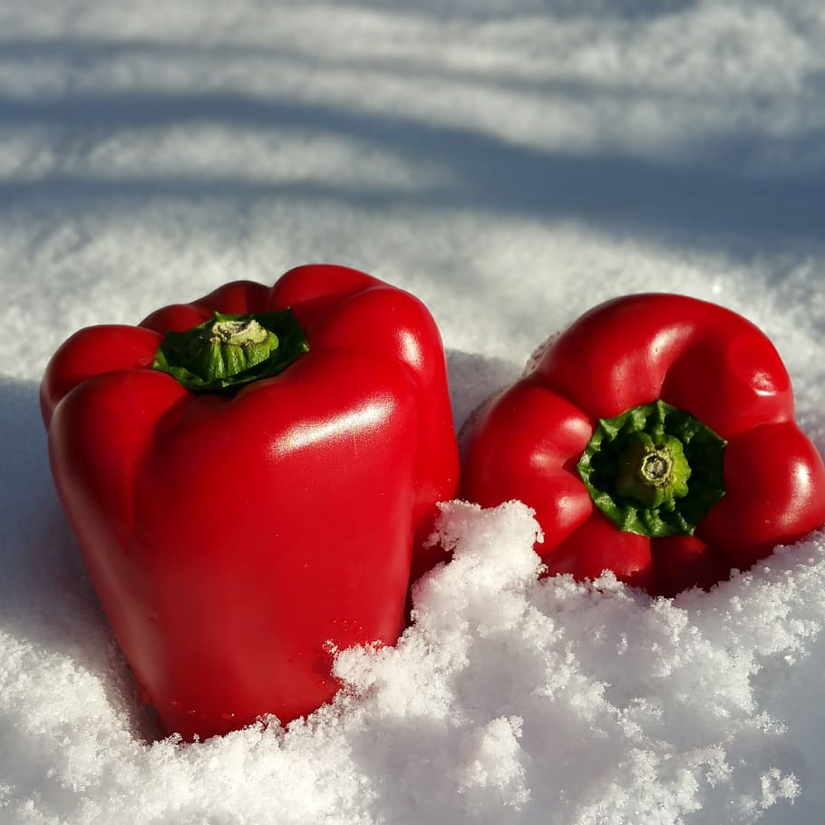 paprika, snow, red, vegetables, winter, vegetable, food and drink, bell pepper, pepper, food
