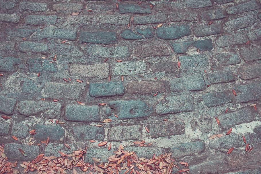 bricks, wall, leaves, dried, floor, full frame, pattern, street, backgrounds, textured