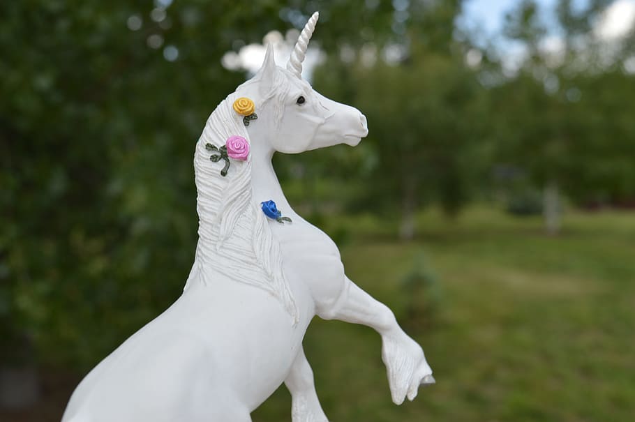 selektif, foto fokus, mainan unicorn, Unicorn, Kuda, Fantasi, Putih, hewan tanduk, dongeng, hewan