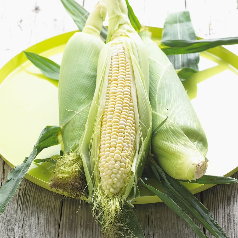 corn, maize, vegetable, plant, food, yellow, sweet corn, healthy, foods, sweetcorn