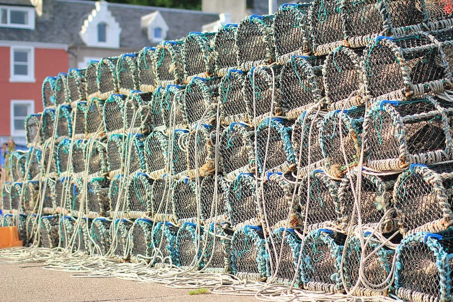 island, fishing, harbor, nature, fishing industry, in a row, large group of objects, arrangement, day, fishing net