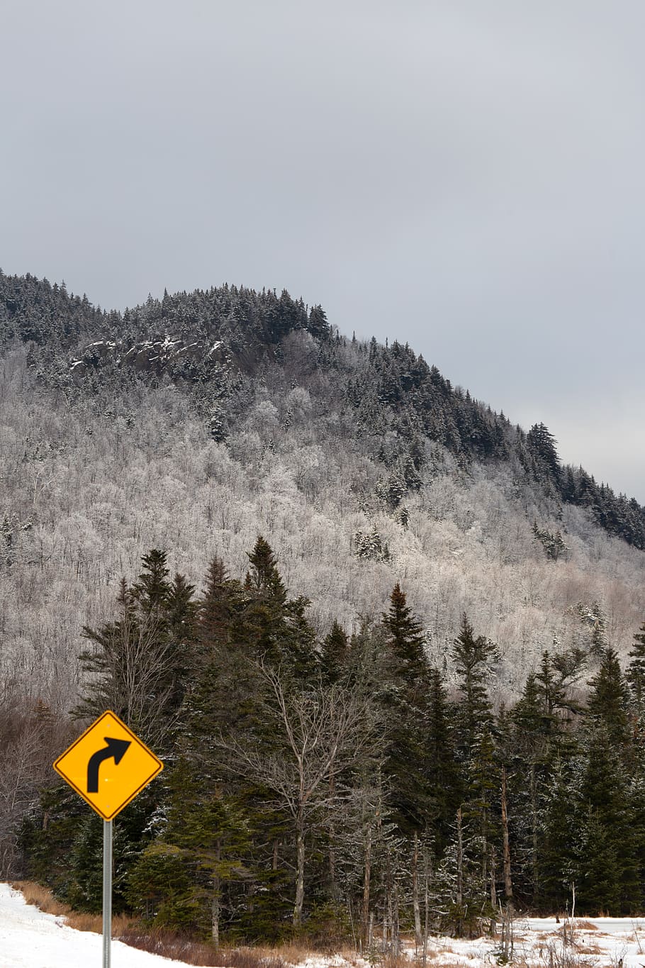 road, sign, mountains, winter, travel, snow, trees, forest, scenic, view