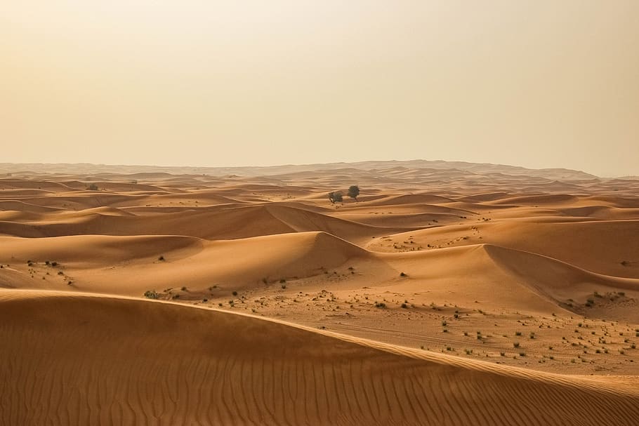 desert, sand, dry, hot, landscape, travel, dune, adventure, sahara, africa