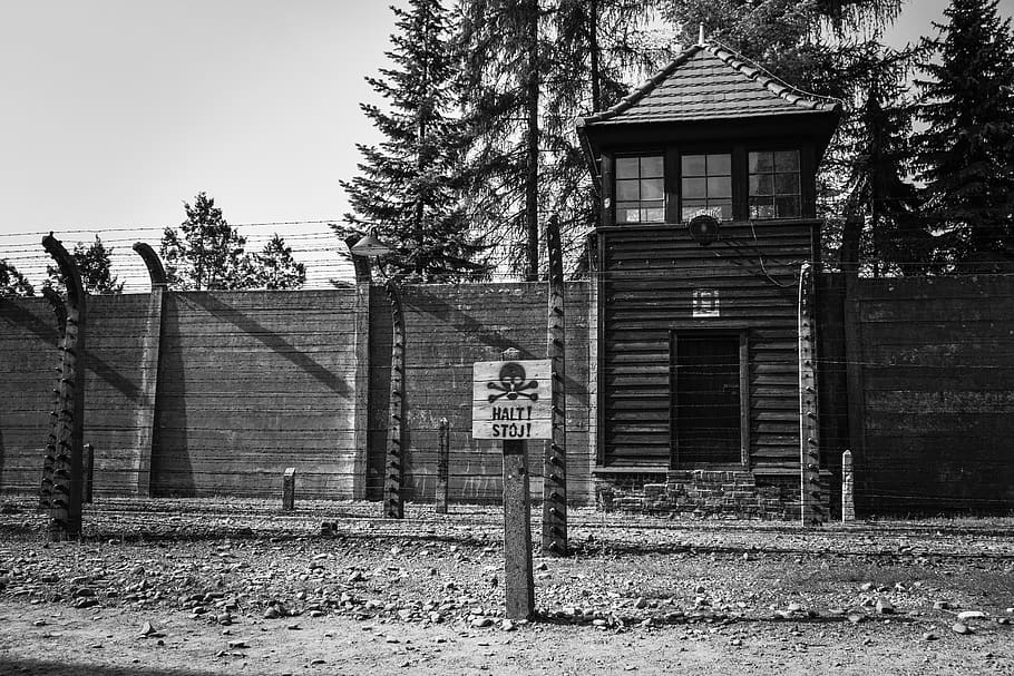 auschwitz, concentration camp, tower, wall, fence, history, war, prison, nazism, death