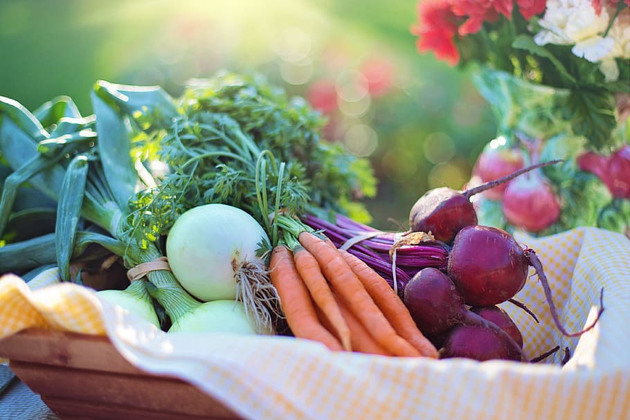 selective, focus photography, basket, Vegetables, Onions, Carrots, Beets, Food, healthy, fresh