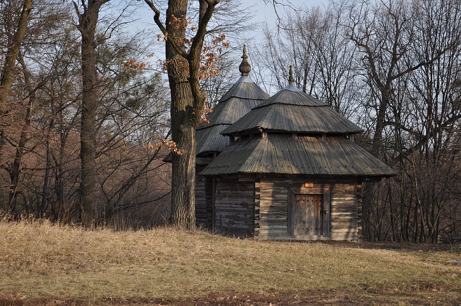 Iglesia, Ucrania, casa, arquitectura, folk, viajes, naturaleza, bosque, escondido, museo