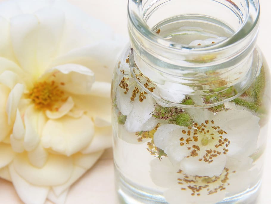 rose, water, glass, rose water, cosmetics, wellness, essential oils, beauty, care, skin