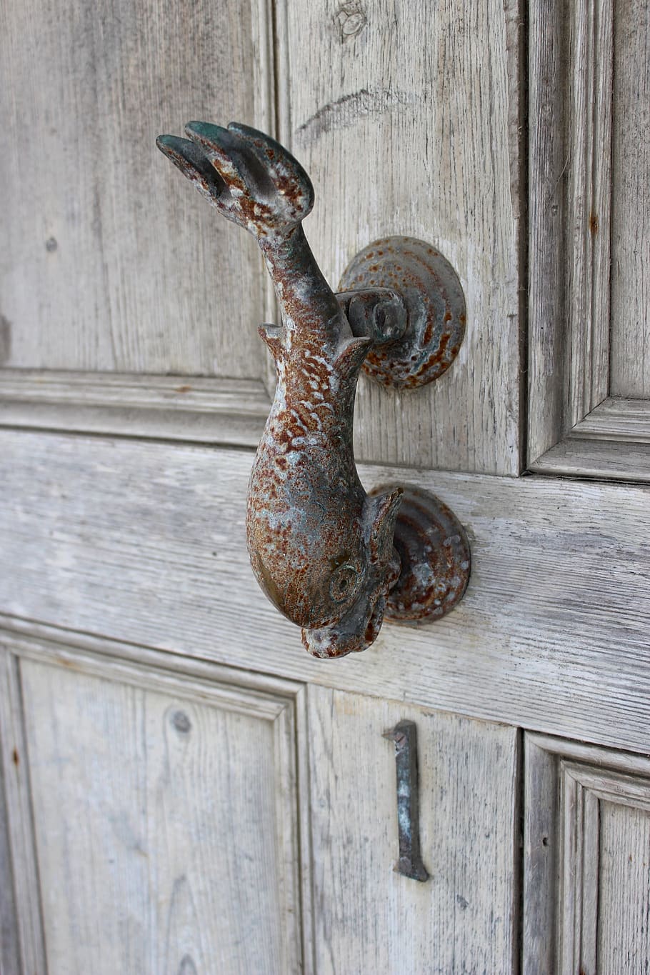 Door, Handle, Entrance, Dolphin, Fish, door, handle, dolphin, fish, wood, home, lock