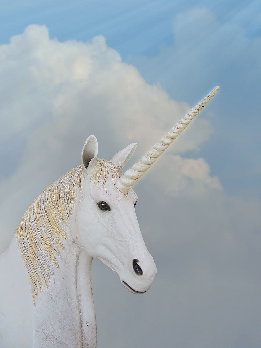 white unicorn, unicorn, animal magic, fantasy, horn, animal, animal themes, sky, one animal, animal wildlife