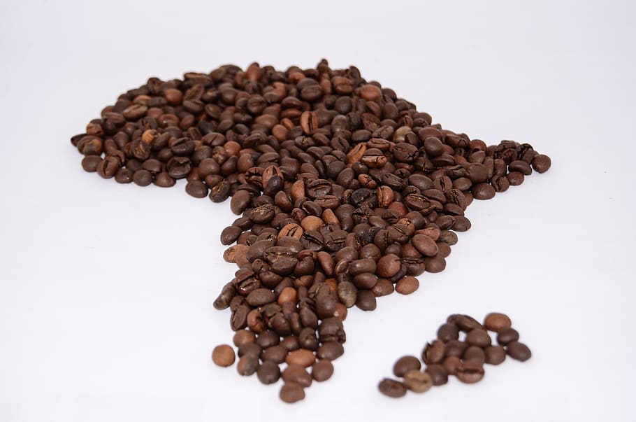 coffee beans, coffee, the drink, caffeine, the brew, coffee maker, aroma, brown, africa, food and drink