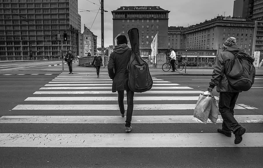 Zebra, Person, Crossing, People, Road, street, traffic, pedestrian, city, urban