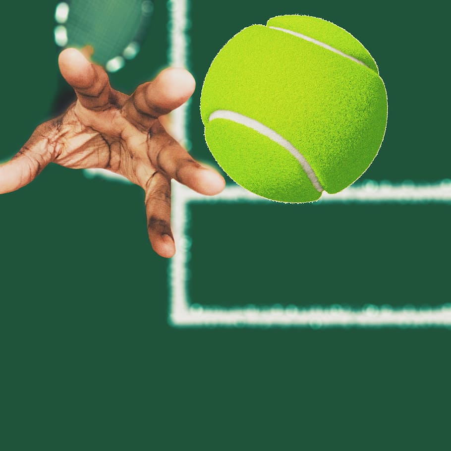 person, throwing, green, tennis ball, focus photography, Tennis, Athlete, Sport, human hand, human body part