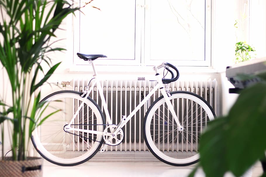 white, road bike, lean, wall, architecture, indoor, interior, green, plant, bike