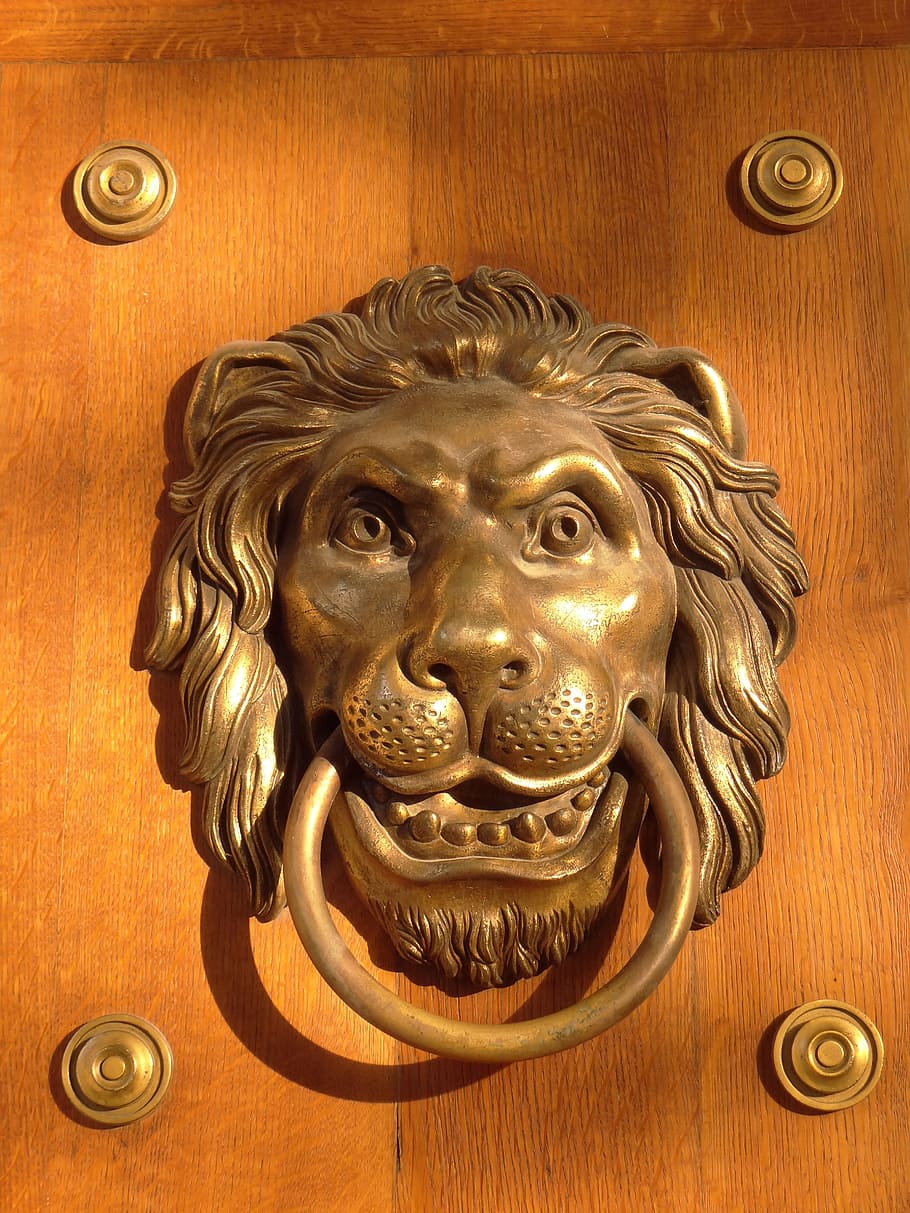 door knocker, the head of a lion, the door, wooden, entrance, open, architecture, oak, vintage, monument