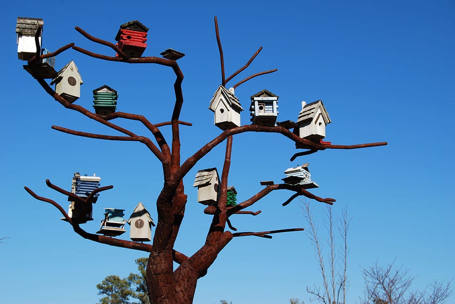 assorted-color bird house, tree photography, bird houses, steel tree, sculpture, north carolina, museum of art, sky, nature, clear sky