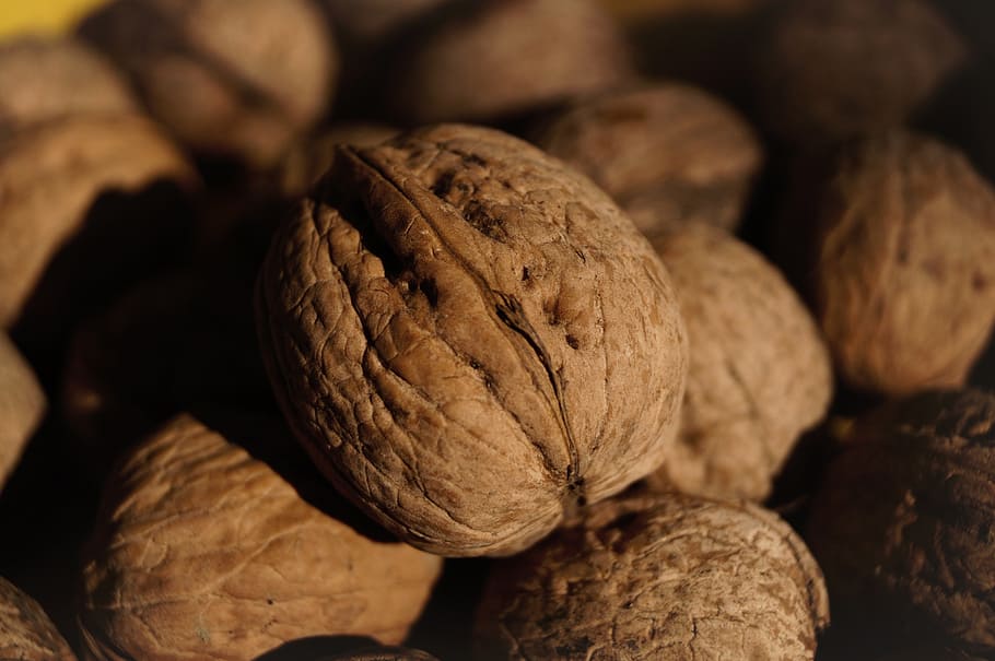 walnut, crop, brown, stone, autumn, healthy, food and drink, food, healthy eating, wellbeing