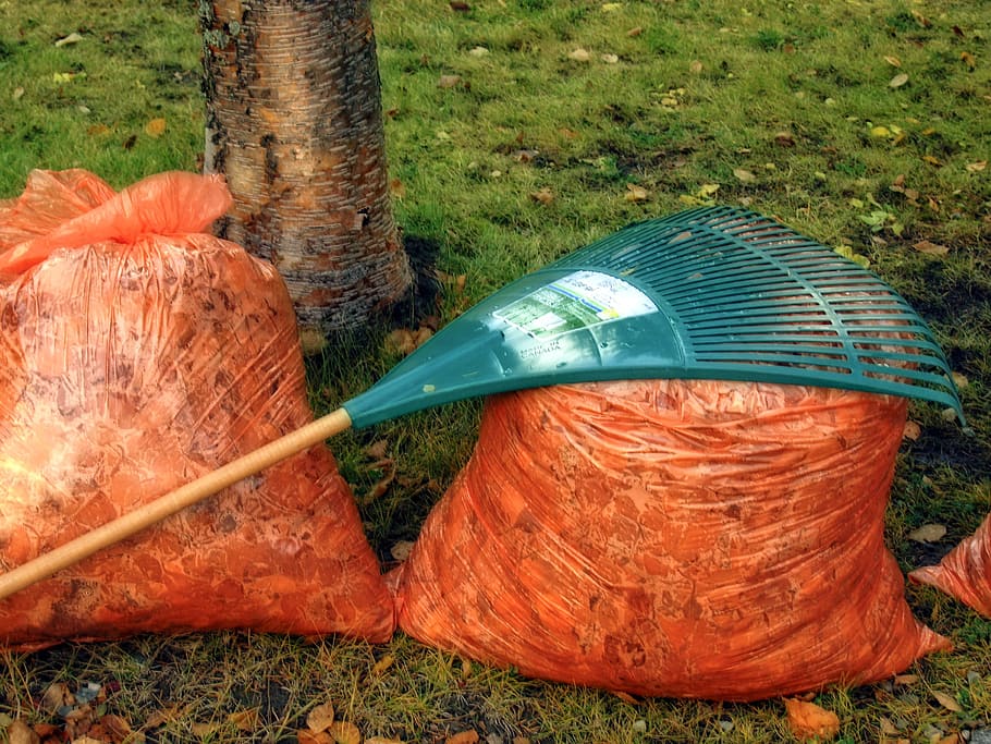 green, steel rake, orange, plastic bag, filled, dried, Autumn, Fall, Rake, Leaves, Garden, Tool
