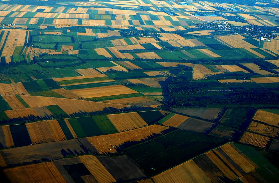 Earth, Plow, Parcel, Aerial Photo, agriculture, aerial view, patchwork landscape, farm, rural scene, field