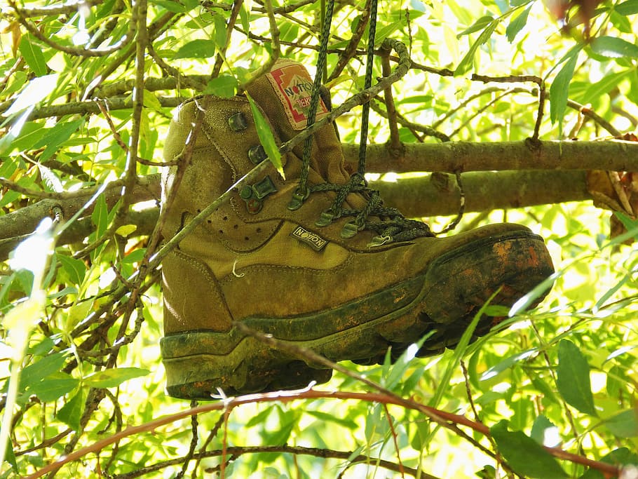 Boot, Hiking, Tree, Abandoned, green, summer, spring, sun, light, one animal