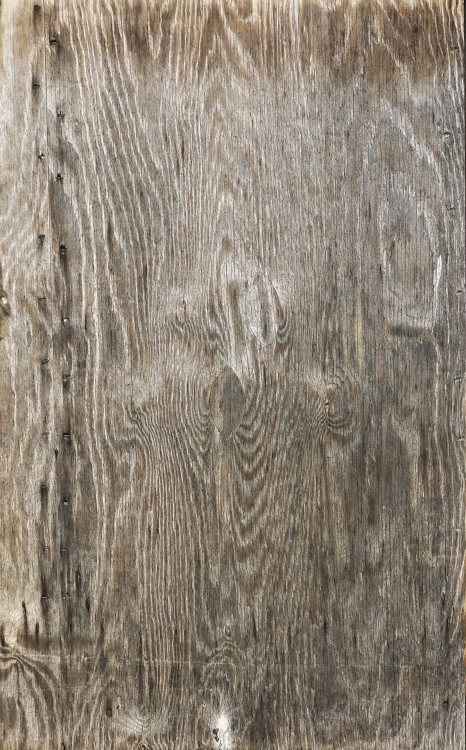 joiner plate, veneered, wood based panel, glued in place, deck veneer, it's shape, rigid, board, weathered, veneer