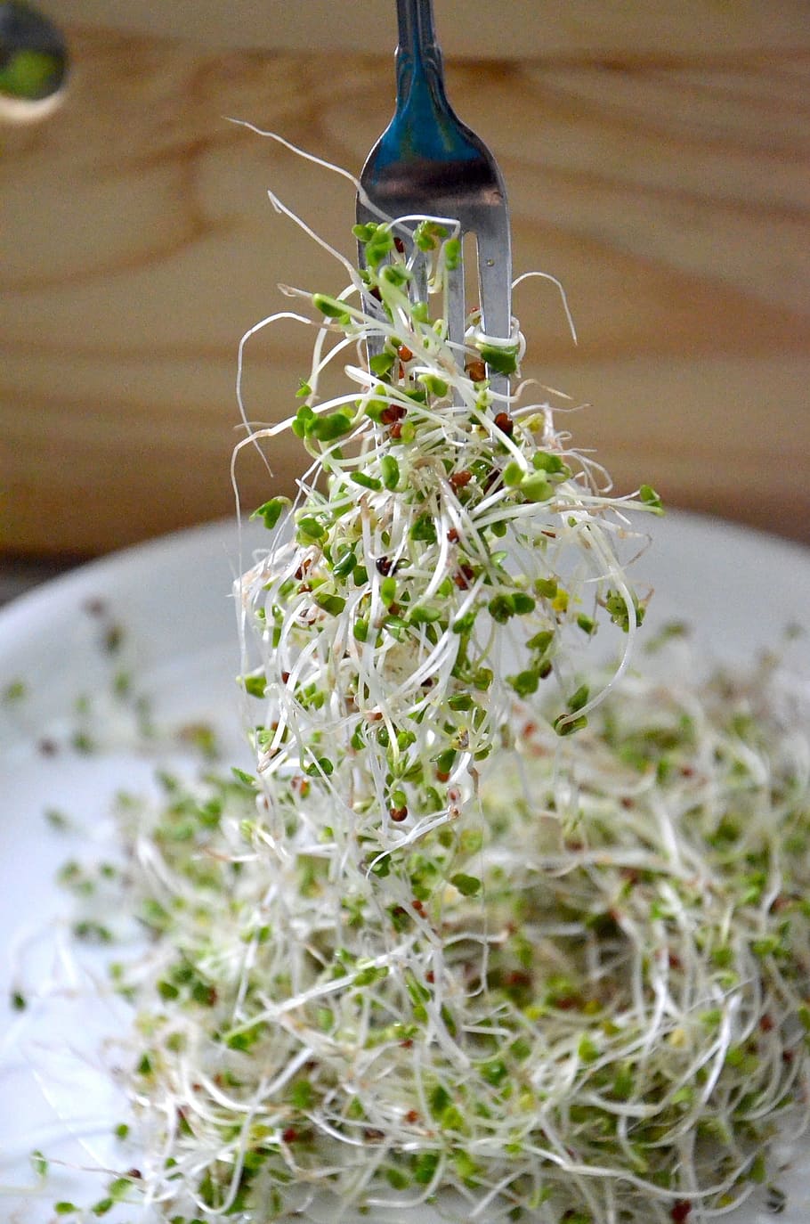 super, food, Broccoli Sprouts, Super Food, anti cancer, alfalfa, vegetable, healthy Eating, freshness, organic