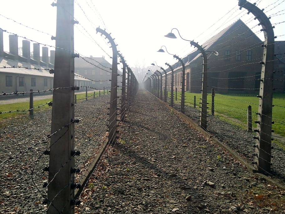 vazio, caminho, ao lado, cercas, durante o dia, campo de concentração, holocausto, auschwitz, polônia, birkenau
