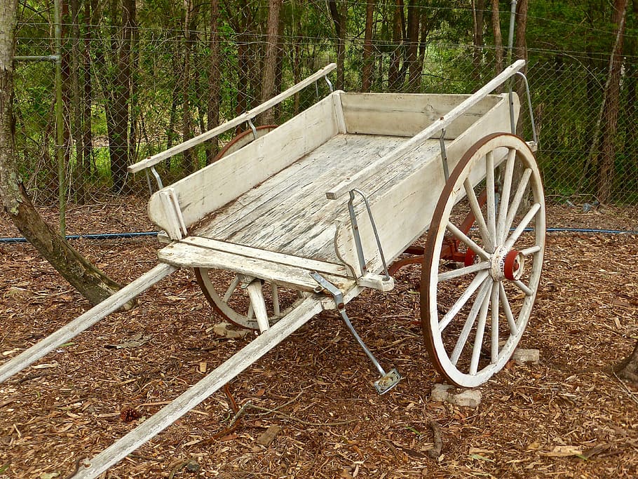 buggy, cart, horse, two wheel, vehicle, transport, wheel, outdoors, wood - Material, old