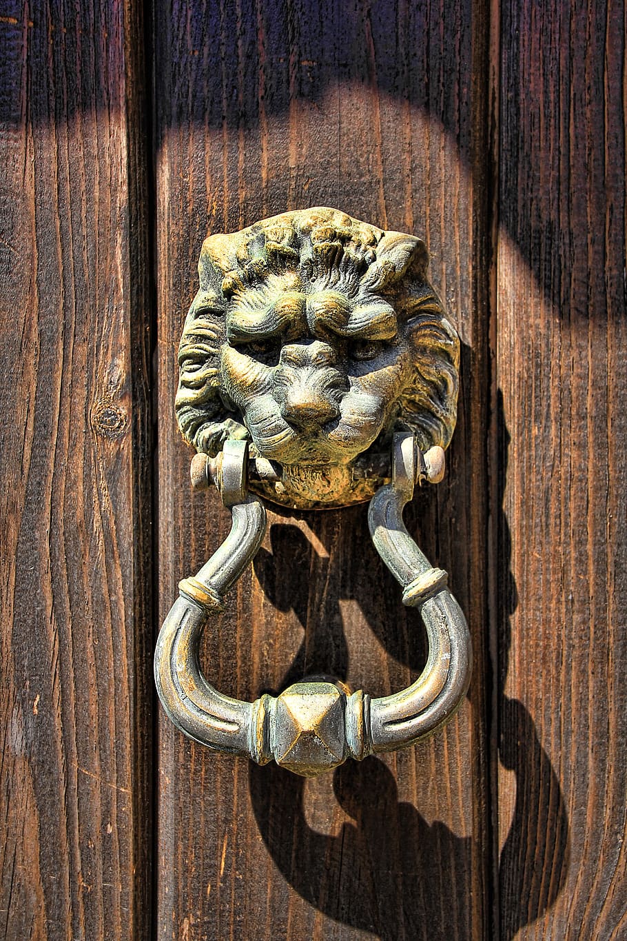 aldaba, cabeza de león, puerta, metal, entrada, antiguo, anillo, mango, decorativo, león