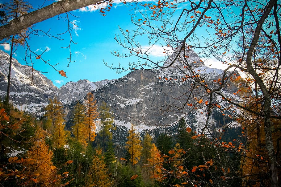 mountains, autumn, leaves, landscape, alpine, zugspitze mountain, nature, indian summer, orange, colorful